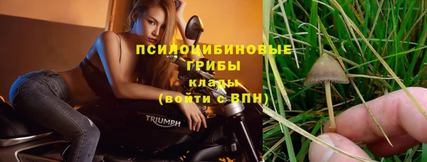 хмурый Костерёво