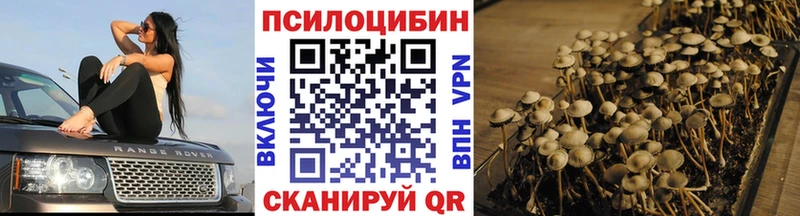 нарко площадка Telegram  кракен вход  Кочубеевское  купить   Галлюциногенные грибы мицелий 