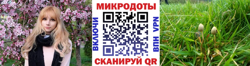 Галлюциногенные грибы Cubensis Кочубеевское